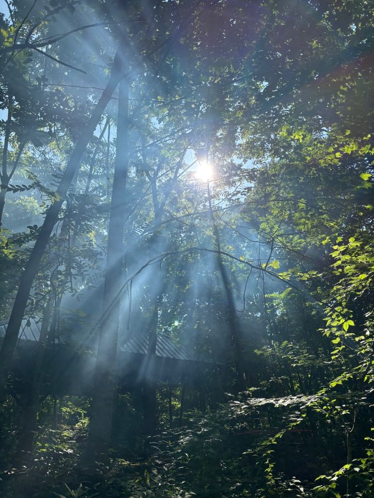 Shope Creek Wilderness