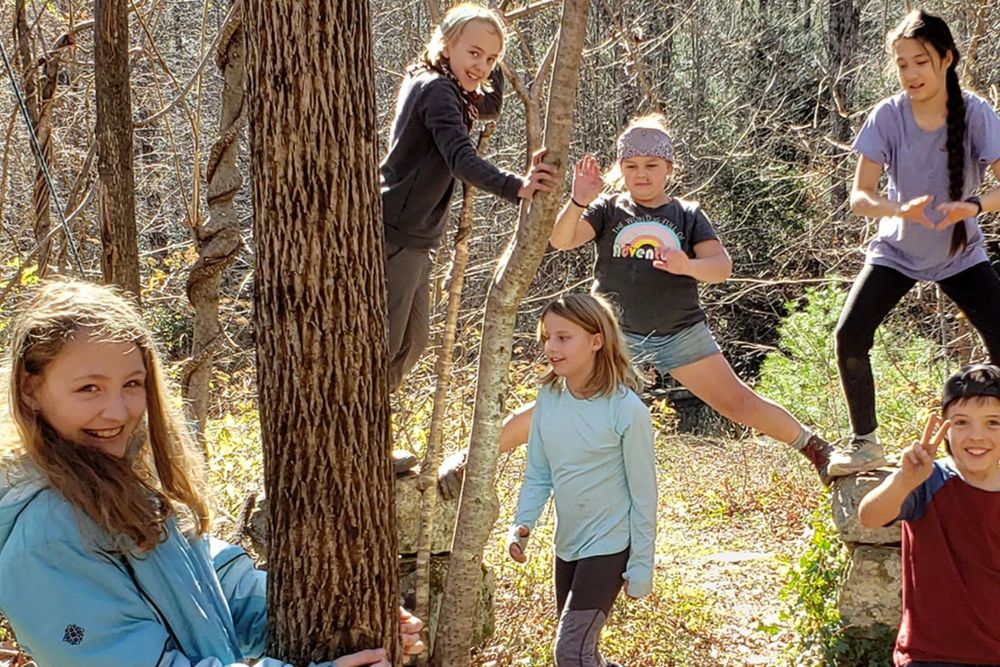 Children climbing and playing among the trees