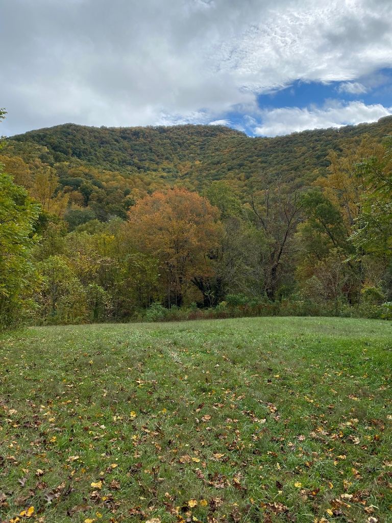 Shope Creek Wilderness